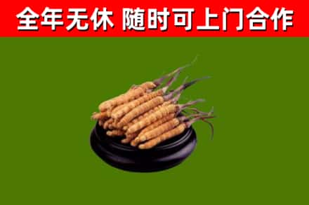 灌云烟酒回收冬虫夏草.jpg