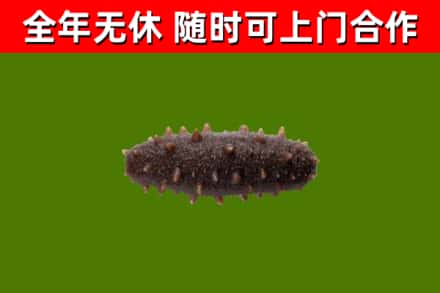 灌云烟酒回收干海参.jpg